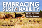 Embracing Sustainability: The Multifaceted Benefits of Ostrich Farming