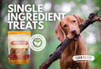 The Benefits of Single-Ingredient Dog Treats