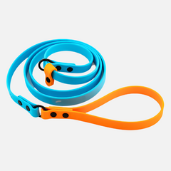Collection image for: Leash & Harness