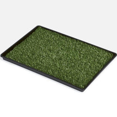Collection image for: Pee Pads
