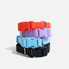 Collection image for: Dog Collars