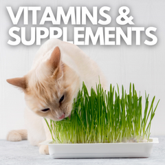 Collection image for: Supplements for Cats