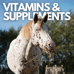 Collection image for: Supplements for Horses