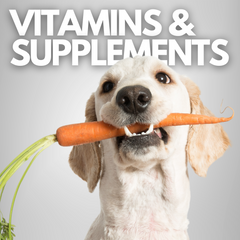 Collection image for: Supplements for Dogs