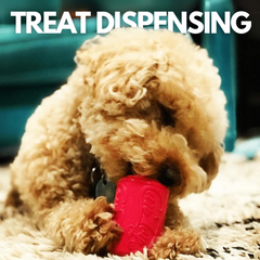 Collection image for: Treat Dispensing