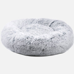 Collection image for: Dog Beds