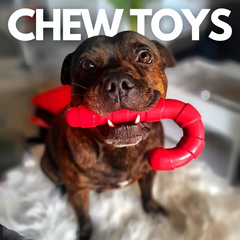 Collection image for: Chew Toys