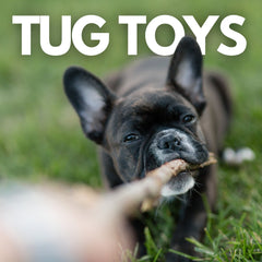Collection image for: Rope & Tug