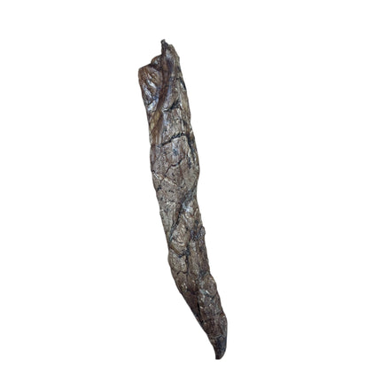 Dehydrated Beef Lung