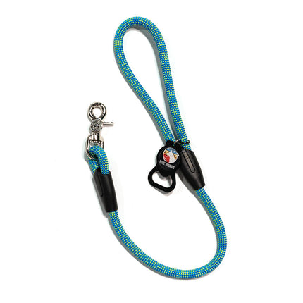2' Dog Traffic Lead - Blues