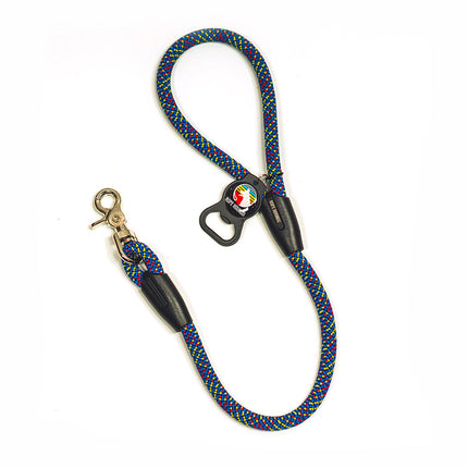2' Dog Traffic Lead - Blues