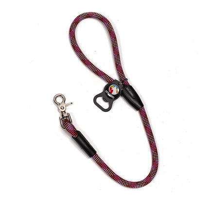 2' Dog Traffic Lead - Multicolor