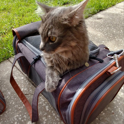 Mr. Peanut's Gold Series Standard Size Airline Compliant Pet Carrier
