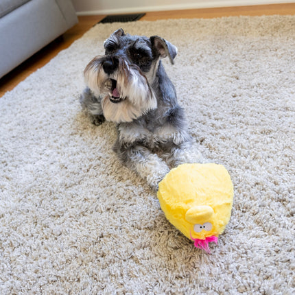 Quacker Jack: Fun Dog Toy Small Duck Grunter by DogGoods ™