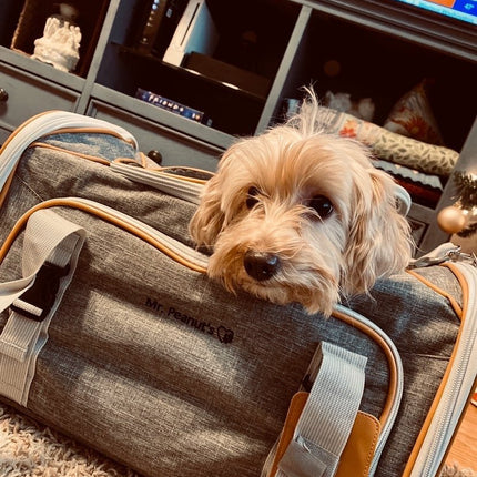 Mr. Peanut's Platinum Series Expandable Pet Carrier