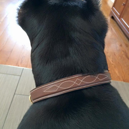 ExionPro Fancy Stitched Padded Leather Dog Collar - Brown Padding