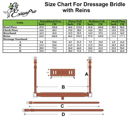 ExionPro Anatomical Dressage Bridle with Reins
