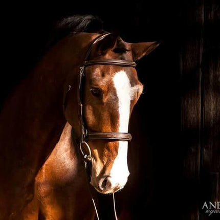 Replacement Crownpiece of ExionPro Padded Hunter Bridle
