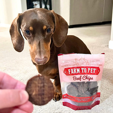 Beef Chips Dog Treats | Single-ingredient Healthy Treats for Dogs