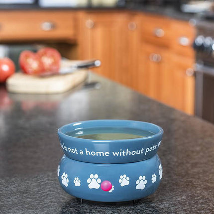 Electric Wax Warmer