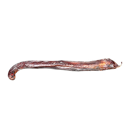 Dehydrated Bull Pizzle