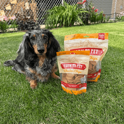 Chicken Chips for Dogs | All-natural Single-ingredient Dog Treats