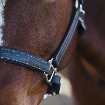 ExionPro Fancy Stitched Leather Halter - Brass Nickel Hardware