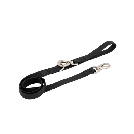 City Dog Leash