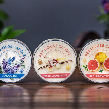 Vanilla Creme Brulee Mini Candle