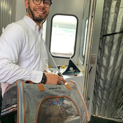 Mr. Peanut's Gold Series Standard Size Airline Compliant Expandable Pet Carrier