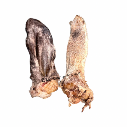 Dehydrated Lamb Ear