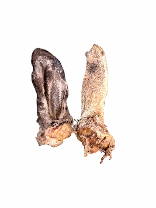 Dehydrated Lamb Ear