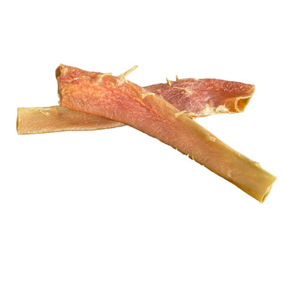Dehydrated Beef Aorta
