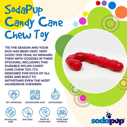Candy Cane Ultra Durable Nylon Chew Toy
