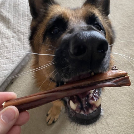 6 Inch Beef Jerky Stick
