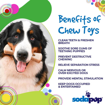 MOD Bone eChew Ultra Durable Nylon Dog Chew Toy