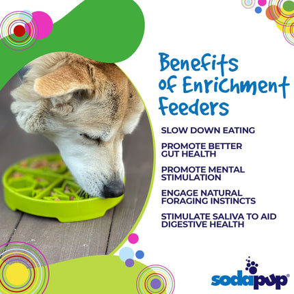 Four Seasons Design eTray Enrichment Shallow Slow Feeder Dog Bowl