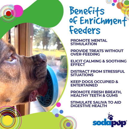 Turtle emat-mini Enrichment Lick Mat With Suction Cups