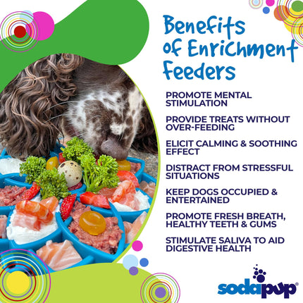 Mandala Design eTray Enrichment Shallow Slow Feeder Dog Bowl