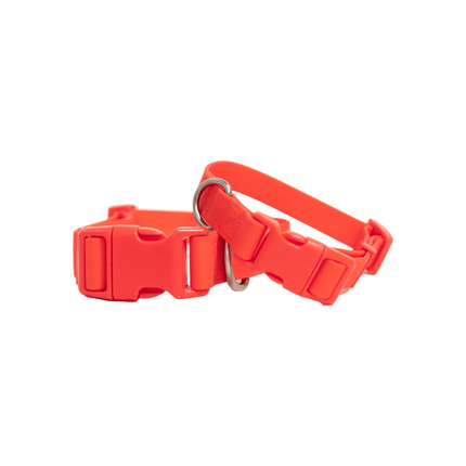 Extra Large Dog Collar