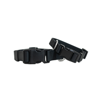 Extra Large Dog Collar