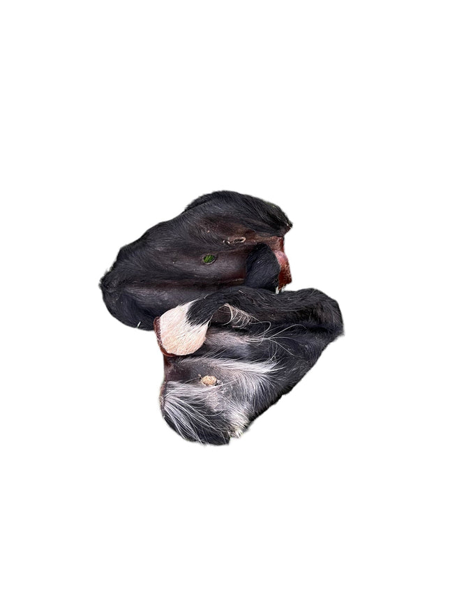 Dehydrated Beef Ears with Fur
