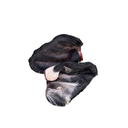 Dehydrated Beef Ears with Fur