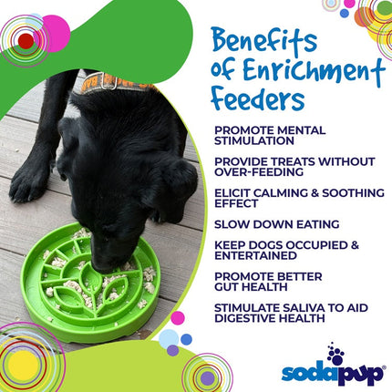 Garden Design eTray Enrichment Shallow Slow Feeder Dog Bowl