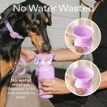 Growler Dog Travel Bottle