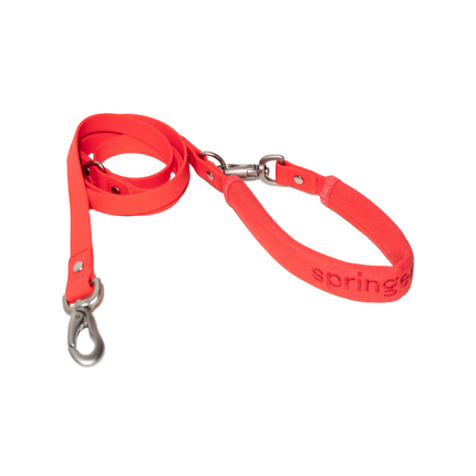 Dog Leash