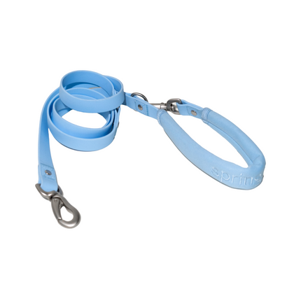 Dog Leash