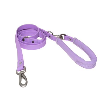 Dog Leash