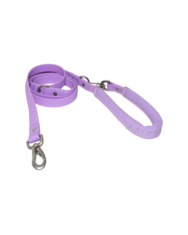 Dog Leash