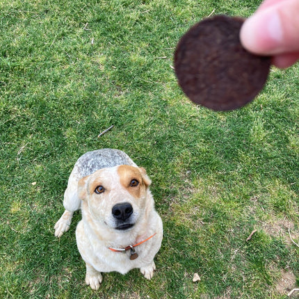 Beef Chips Dog Treats | Single-ingredient Healthy Treats for Dogs